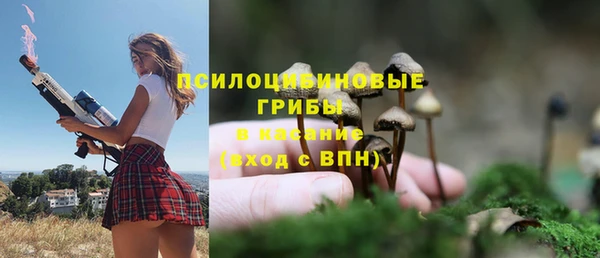 первитин Алексеевка