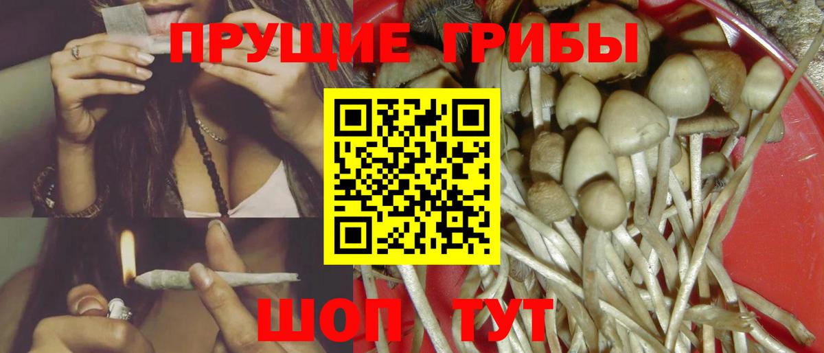 Краснокамск  Галлюциногенные грибы Cubensis  Вход с VPN 